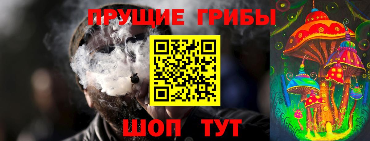 магазин продажи наркотиков  Вход с VPN  Галлюциногенные грибы Magic Shrooms  Карачаевск  Галлюциногенные грибы мухоморы 
